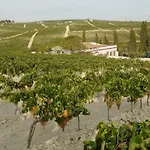 Venkovský dům Jerez Vina Santa Petronila *