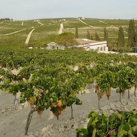 Séjour à la campagne Jerez Vina Santa Petronila *